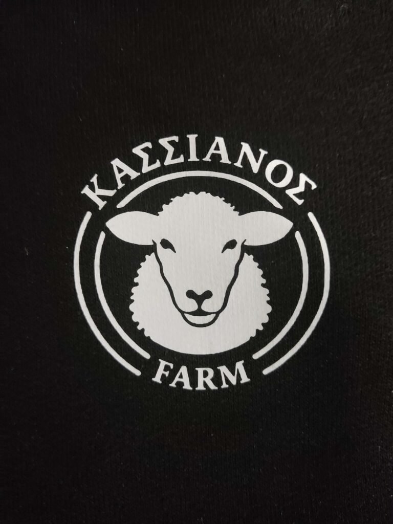 31469244 b0e7 4d3a 919c 45f4fbb619e1